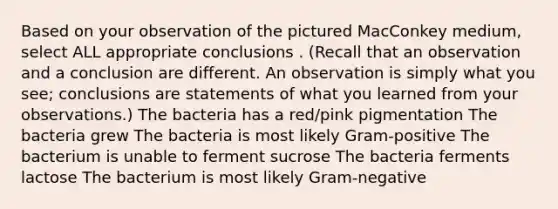 Based on your observation of the pictured MacConkey medium, select ALL appropriate conclusions . (Recall that an observation and a conclusion are different. An observation is simply what you see; conclusions are statements of what you learned from your observations.) The bacteria has a red/pink pigmentation The bacteria grew The bacteria is most likely Gram-positive The bacterium is unable to ferment sucrose The bacteria ferments lactose The bacterium is most likely Gram-negative