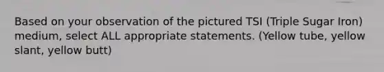 Based on your observation of the pictured TSI (Triple Sugar Iron) medium, select ALL appropriate statements. (Yellow tube, yellow slant, yellow butt)