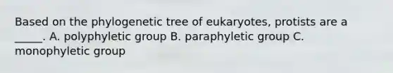 Based on the phylogenetic tree of eukaryotes, protists are a _____. A. polyphyletic group B. paraphyletic group C. monophyletic group