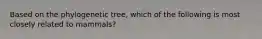 Based on the phylogenetic tree, which of the following is most closely related to mammals?