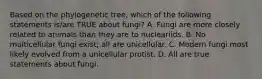 Based on the phylogenetic tree, which of the following statements is/are TRUE about fungi? A. Fungi are more closely related to animals than they are to nucleariids. B. No multicellular fungi exist; all are unicellular. C. Modern fungi most likely evolved from a unicellular protist. D. All are true statements about fungi.