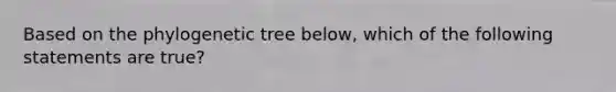 Based on the phylogenetic tree below, which of the following statements are true?