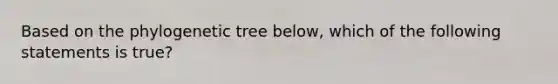 Based on the phylogenetic tree below, which of the following statements is true?