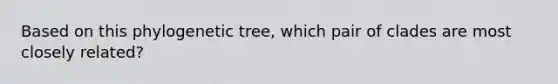 Based on this phylogenetic tree, which pair of clades are most closely related?