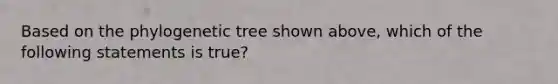 Based on the phylogenetic tree shown above, which of the following statements is true?