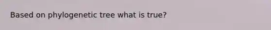 Based on phylogenetic tree what is true?