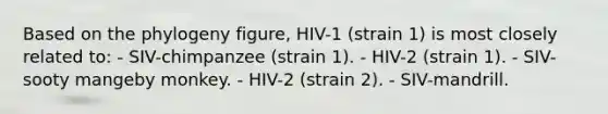 Based on the phylogeny figure, HIV-1 (strain 1) is most closely related to: - SIV-chimpanzee (strain 1). - HIV-2 (strain 1). - SIV-sooty mangeby monkey. - HIV-2 (strain 2). - SIV-mandrill.