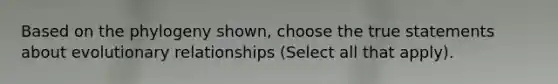 Based on the phylogeny shown, choose the true statements about evolutionary relationships (Select all that apply).