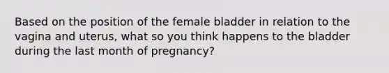 Based on the position of the female bladder in relation to the vagina and uterus, what so you think happens to the bladder during the last month of pregnancy?