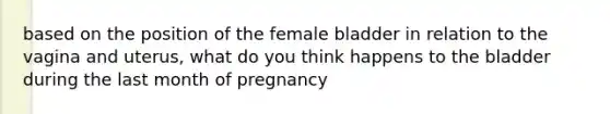 based on the position of the female bladder in relation to the vagina and uterus, what do you think happens to the bladder during the last month of pregnancy