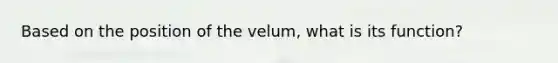 Based on the position of the velum, what is its function?