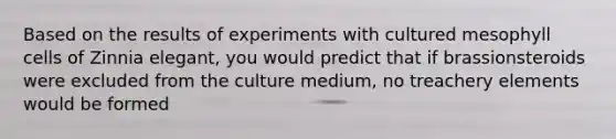 Based on the results of experiments with cultured mesophyll cells of Zinnia elegant, you would predict that if brassionsteroids were excluded from the culture medium, no treachery elements would be formed