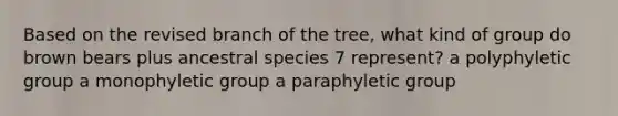 Based on the revised branch of the tree, what kind of group do brown bears plus ancestral species 7 represent? a polyphyletic group a monophyletic group a paraphyletic group