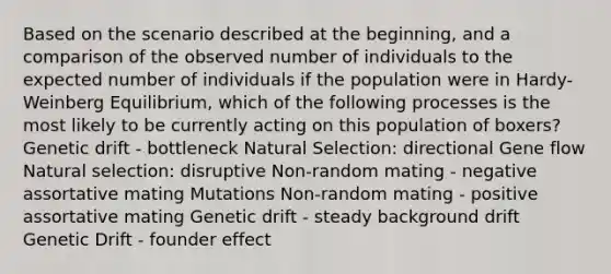 Based on the scenario described at the beginning, and a comparison of the observed number of individuals to the expected number of individuals if the population were in Hardy-Weinberg Equilibrium, which of the following processes is the most likely to be currently acting on this population of boxers? Genetic drift - bottleneck Natural Selection: directional Gene flow Natural selection: disruptive Non-random mating - negative assortative mating Mutations Non-random mating - positive assortative mating Genetic drift - steady background drift Genetic Drift - founder effect