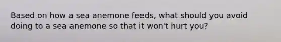 Based on how a sea anemone feeds, what should you avoid doing to a sea anemone so that it won't hurt you?