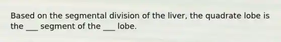 Based on the segmental division of the liver, the quadrate lobe is the ___ segment of the ___ lobe.