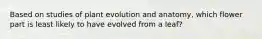 Based on studies of plant evolution and anatomy, which flower part is least likely to have evolved from a leaf?