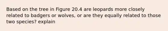 Based on the tree in Figure 20.4 are leopards more closely related to badgers or wolves, or are they equally related to those two species? explain