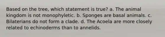 Based on the tree, which statement is true? a. The animal kingdom is not monophyletic. b. Sponges are basal animals. c. Bilaterians do not form a clade. d. The Acoela are more closely related to echinoderms than to annelids.