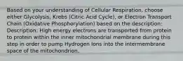 Based on your understanding of Cellular Respiration, choose either Glycolysis, Krebs (Citric Acid Cycle), or Electron Transport Chain (Oxidative Phosphorylation) based on the description: Description: High energy electrons are transported from protein to protein within the inner mitochondrial membrane during this step in order to pump Hydrogen Ions into the intermembrane space of the mitochondrion.