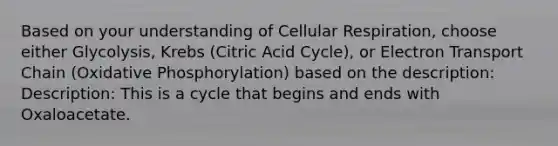 Based on your understanding of Cellular Respiration, choose either Glycolysis, Krebs (Citric Acid Cycle), or Electron Transport Chain (Oxidative Phosphorylation) based on the description: Description: This is a cycle that begins and ends with Oxaloacetate.