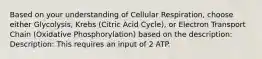 Based on your understanding of Cellular Respiration, choose either Glycolysis, Krebs (Citric Acid Cycle), or Electron Transport Chain (Oxidative Phosphorylation) based on the description: Description: This requires an input of 2 ATP.