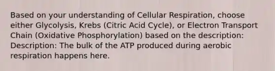 Based on your understanding of <a href='https://www.questionai.com/knowledge/k1IqNYBAJw-cellular-respiration' class='anchor-knowledge'>cellular respiration</a>, choose either Glycolysis, Krebs (Citric Acid Cycle), or Electron Transport Chain (<a href='https://www.questionai.com/knowledge/kFazUb9IwO-oxidative-phosphorylation' class='anchor-knowledge'>oxidative phosphorylation</a>) based on the description: Description: The bulk of the ATP produced during aerobic respiration happens here.