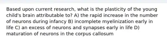 Based upon current research, what is the plasticity of the young child's brain attributable to? A) the rapid increase in the number of neurons during infancy B) incomplete myelinization early in life C) an excess of neurons and synapses early in life D) maturation of neurons in the corpus callosum