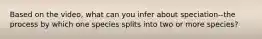 Based on the video, what can you infer about speciation--the process by which one species splits into two or more species?
