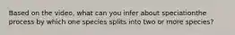 Based on the video, what can you infer about speciationthe process by which one species splits into two or more species?