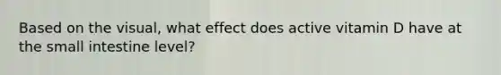 Based on the visual, what effect does active vitamin D have at the small intestine level?