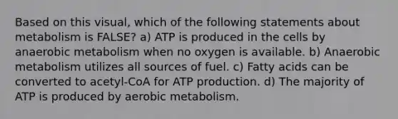 Based on this visual, which of the following statements about metabolism is FALSE? a) ATP is produced in the cells by anaerobic metabolism when no oxygen is available. b) Anaerobic metabolism utilizes all sources of fuel. c) Fatty acids can be converted to acetyl-CoA for ATP production. d) The majority of ATP is produced by aerobic metabolism.