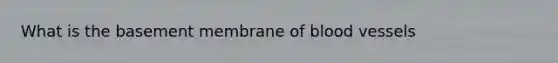 What is the basement membrane of blood vessels