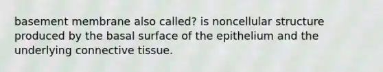 basement membrane also called? is noncellular structure produced by the basal surface of the epithelium and the underlying connective tissue.