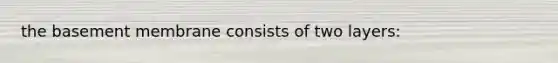 the basement membrane consists of two layers: