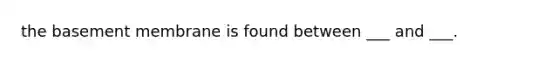 the basement membrane is found between ___ and ___.