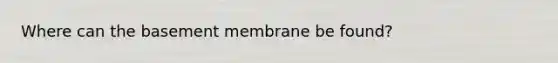 Where can the basement membrane be found?