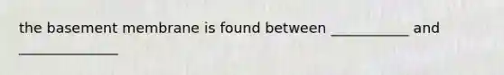 the basement membrane is found between ___________ and ______________