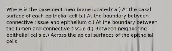 Where is the basement membrane located? a.) At the basal surface of each epithelial cell b.) At the boundary between connective tissue and epithelium c.) At the boundary between the lumen and connective tissue d.) Between neighboring epithelial cells e.) Across the apical surfaces of the epithelial cells