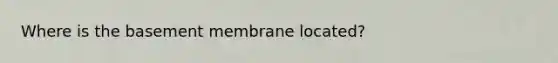 Where is the basement membrane located?