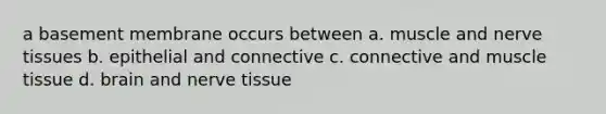 a basement membrane occurs between a. muscle and nerve tissues b. epithelial and connective c. connective and muscle tissue d. brain and nerve tissue