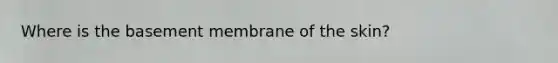 Where is the basement membrane of the skin?