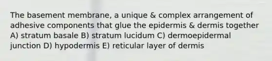 The basement membrane, a unique & complex arrangement of adhesive components that glue the epidermis & dermis together A) stratum basale B) stratum lucidum C) dermoepidermal junction D) hypodermis E) reticular layer of dermis