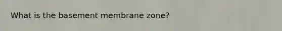 What is the basement membrane zone?