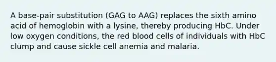 A base-pair substitution (GAG to AAG) replaces the sixth amino acid of hemoglobin with a lysine, thereby producing HbC. Under low oxygen conditions, the red blood cells of individuals with HbC clump and cause sickle cell anemia and malaria.