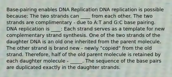 Base-pairing enables DNA Replication DNA replication is possible because: The two strands can ____ from each other. The two strands are complimentary - due to A:T and G:C base pairing. DNA replication is ____: Each strand serves as a template for new complementary strand synthesis. One of the two strands of the daughter DNA is an old one inherited from the parent molecule. The other strand is brand new - newly "copied" from the old strand. Therefore, half of the old parent molecule is retained by each daughter molecule - _____. The sequence of the base pairs are duplicated exactly in the daughter strands.