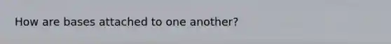 How are bases attached to one another?