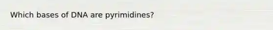 Which bases of DNA are pyrimidines?