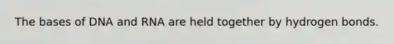The bases of DNA and RNA are held together by hydrogen bonds.