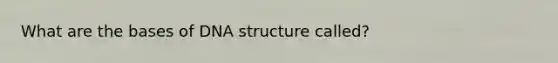 What are the bases of DNA structure called?